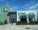 TD Bank Group consolida su cuenta creativa entre Ogilvy y David de WPP